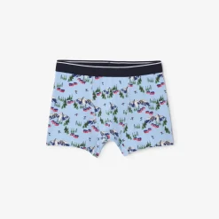 Sale Box met fantasieboxer Boxer