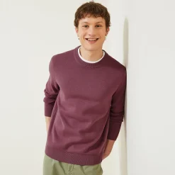 Best Effen trui  Trui