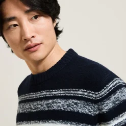 Best Gestreepte jacquard trui met ronde hals Trui