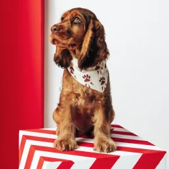 Outlet Hondenbandana Honden Kleding