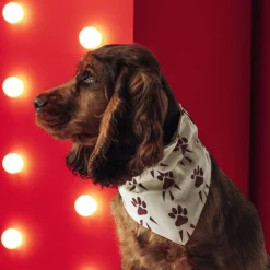 Outlet Hondenbandana Honden Kleding