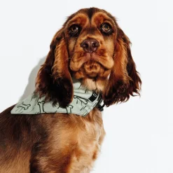 Best Hondenbandana Honden Kleding