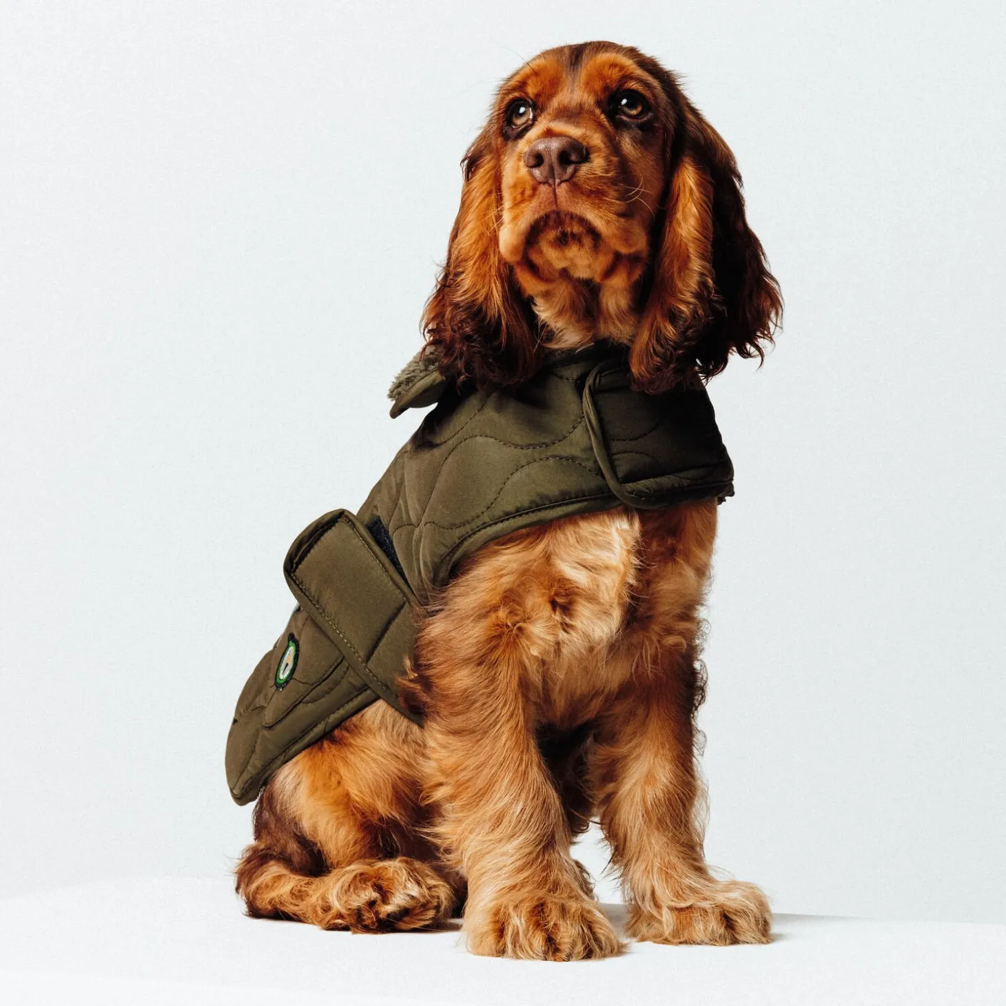 Fashion Hondenmantel Honden Kleding