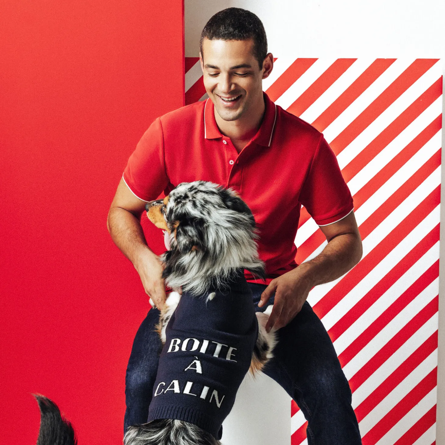 Shop Kersttrui voor honden Honden Kleding