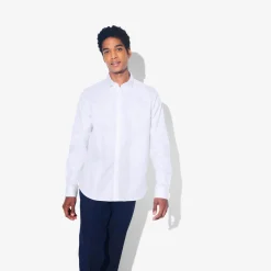 Shop Strijkvrij slim effen hemd in katoen Makkelijk Te Strijken Hemd|Formele Overhemden