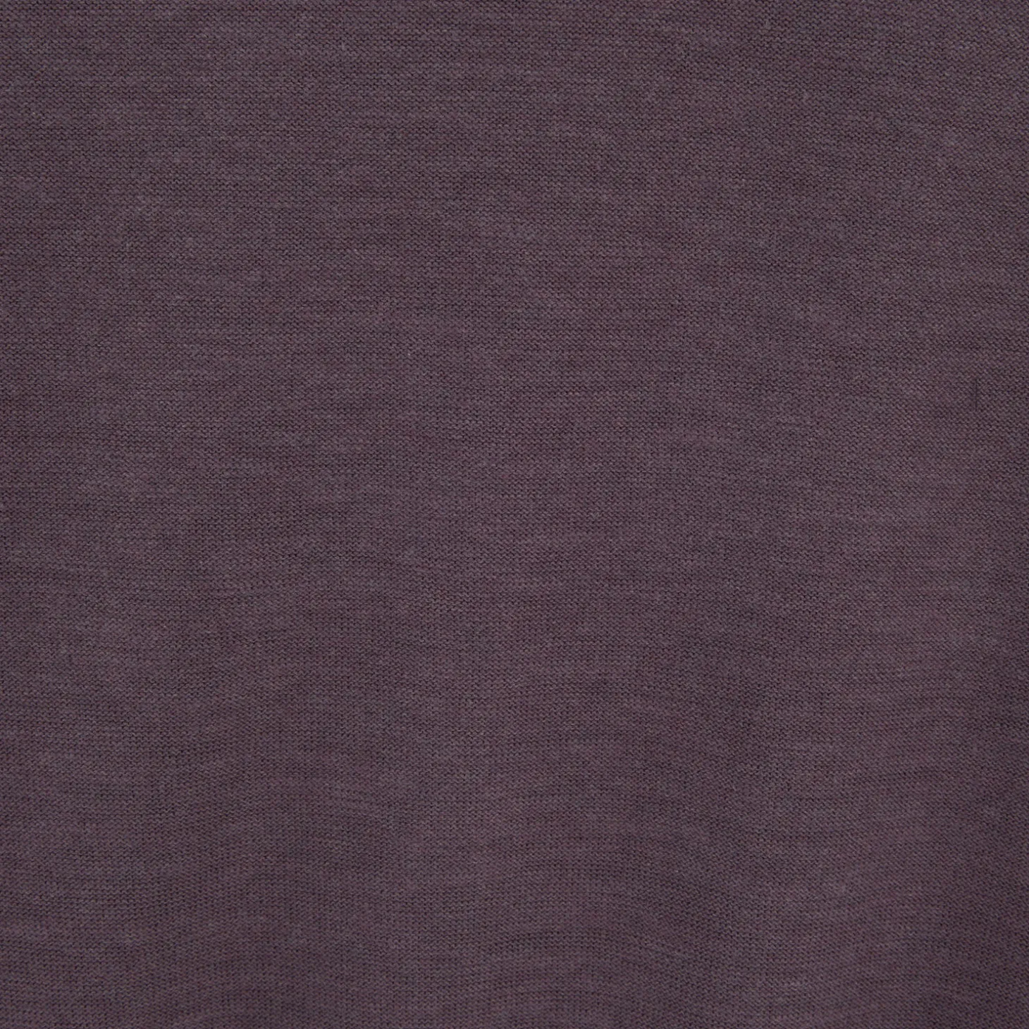 Shop Trui met dubbele halslijn Trui