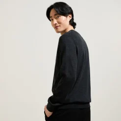 Best Trui met V-kraag in merinoswol Trui