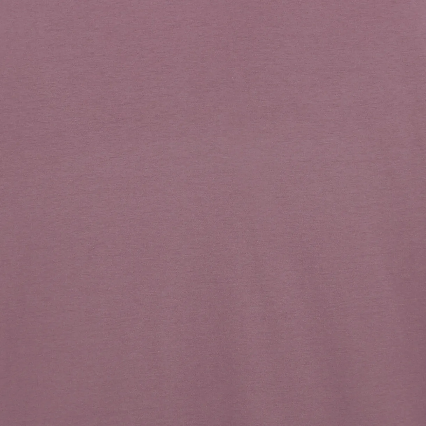 Store T-shirt 'Le Parfait by ' in biologisch katoen T-shirt